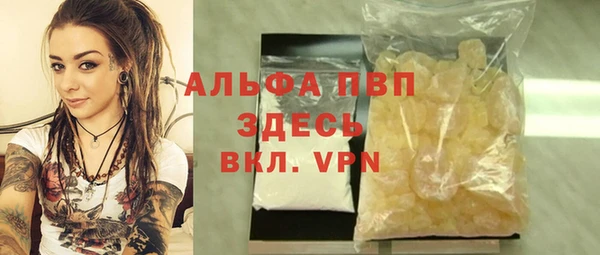 индика Медногорск
