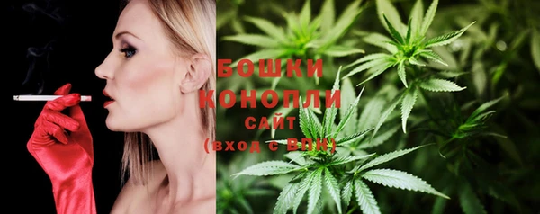 эйфоретик Медвежьегорск