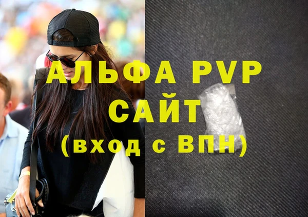 индика Медногорск