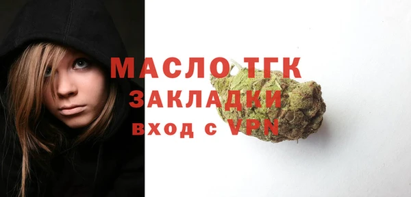 индика Медногорск