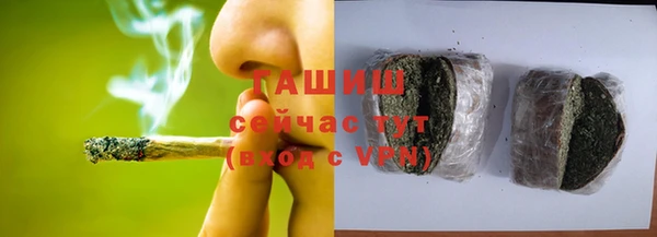 индика Медногорск