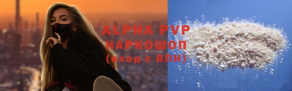 индика Медногорск