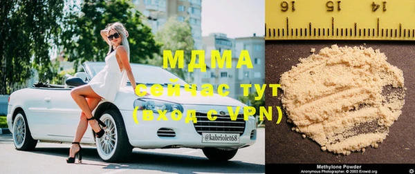 индика Медногорск
