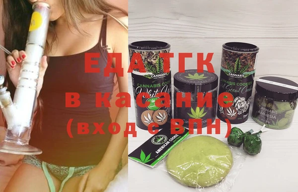индика Медногорск