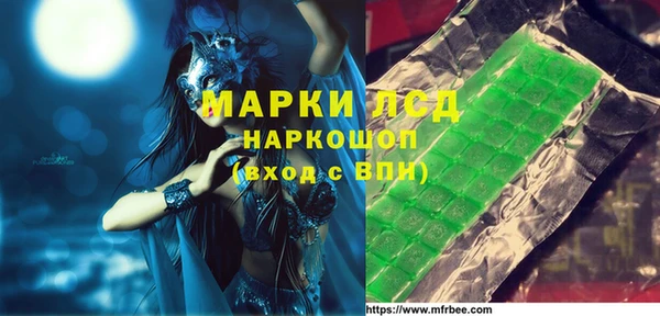 индика Медногорск