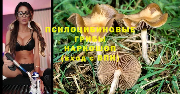 индика Медногорск
