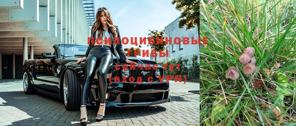 индика Медногорск